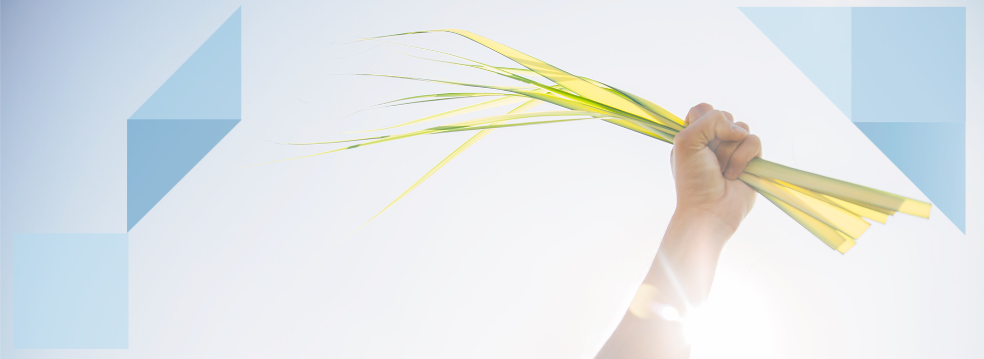 Facilitating thetransition to asustainable energyfuture