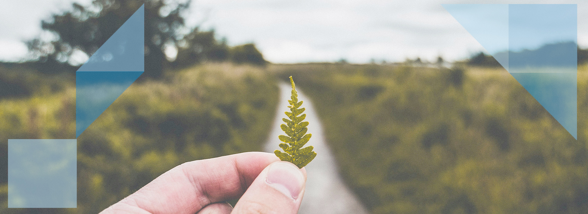 Facilitating thetransition to asustainable energyfuture