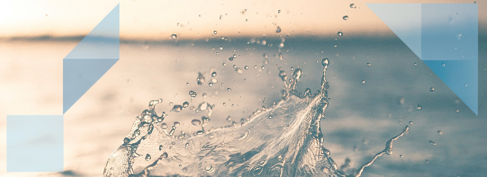 Facilitating thetransition to asustainable energyfuture