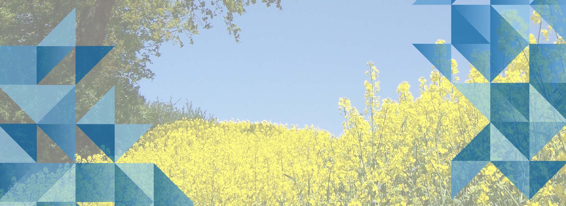 Facilitating the<br>transition to a<br>sustainable energy<br>future