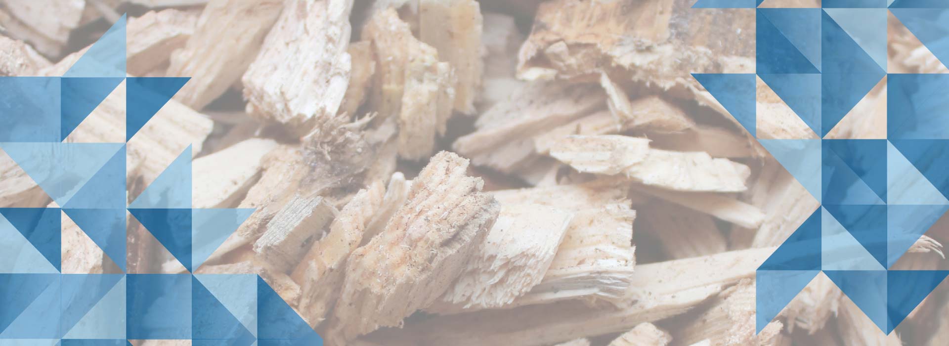 Facilitating the<br>transition to a<br>sustainable energy<br>future