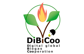 DiBiCoo